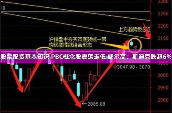 股票配资基本知识 PBC概念股震荡走低 威尔高、斯迪克跌超6%