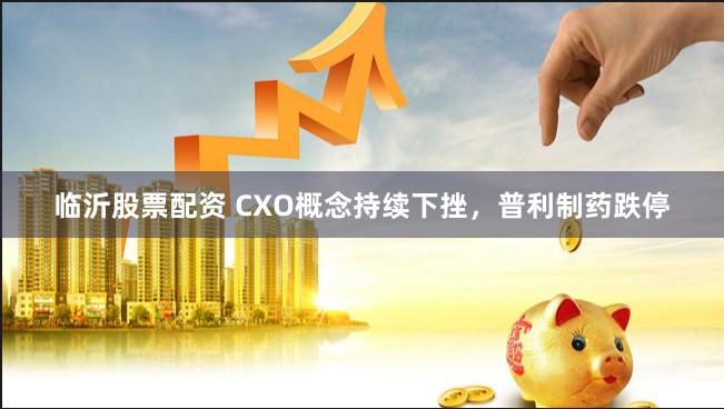 临沂股票配资 CXO概念持续下挫，普利制药跌停