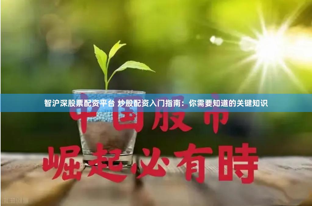 智沪深股票配资平台 炒股配资入门指南：你需要知道的关键知识